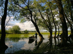 La Slavonie, l’autre Croatie